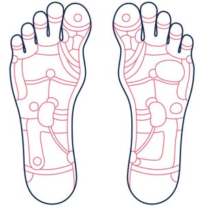 Reflexology Feet map